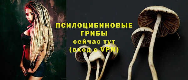 хмурый Абинск